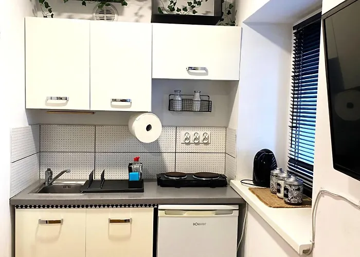 Lemuria Lokietka Legnica